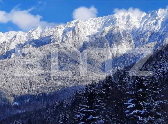 Casa de vânzare 6 camere Zarnesti - 89988CV | BLITZ Brașov | Poza3