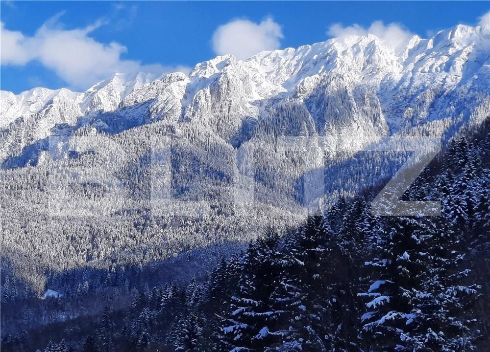 Casa de vânzare 6 camere Zarnesti - 89988CV | BLITZ Brașov | Poza3