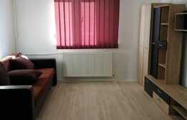 Garsoniera de 25 mp, semidecomandat, zona Expo Transilvania