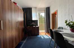 Apartament cu o camera, de 34 mp, etaj intermediar, zona strazii Oasului