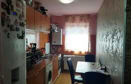 Apartament 2 camere, decomandat, 44 mp, zona Ioan Rus