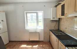 Apartament de 2 camere, 56 mp, etaj intermediar, zona Muzeul Apei