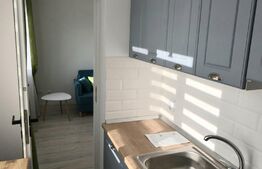 Garsoniera renovata, etaj intermediar, zona Izlazului, Manastur