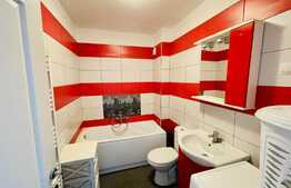 Apartament 2 camere, 43 mp, etaj intermediar, zona Vivo