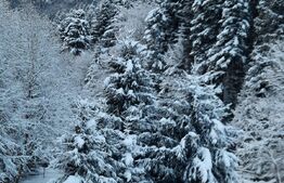 Casa de vanzare cu 6 dormitoare, parter open space, in zona Plaiul Foii, Zarnesti, suprafata utila 270mp, priveliste superba munte Piatra Craiului, teren generos cu brazi, acces la raul Barsa