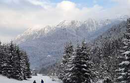 Casa de vanzare cu 6 dormitoare, parter open space, in zona Plaiul Foii, Zarnesti, suprafata utila 270mp, priveliste superba munte Piatra Craiului, teren generos cu brazi, acces la raul Barsa