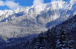 Casa de vanzare cu 6 dormitoare, parter open space, in zona Plaiul Foii, Zarnesti, suprafata utila 270mp, priveliste superba munte Piatra Craiului, teren generos cu brazi, acces la raul Barsa