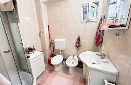 Casa de vanzare cu 6 dormitoare, parter open space, in zona Plaiul Foii, Zarnesti, suprafata utila 270mp, priveliste superba munte Piatra Craiului, teren generos cu brazi, acces la raul Barsa