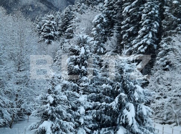 Casa de vânzare 8 camere Zarnesti - 90063CV | BLITZ Brașov | Poza12