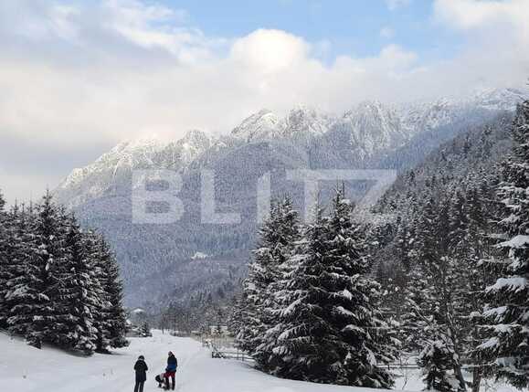 Casa de vânzare 8 camere Zarnesti - 90063CV | BLITZ Brașov | Poza6