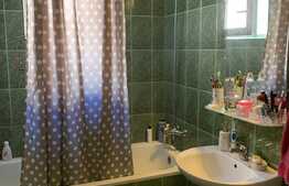 Apartament 1 cameră, 40 mp, etaj intermediar, zona Bucium