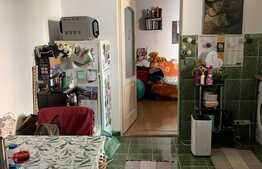 Apartament 1 cameră, 40 mp, etaj intermediar, zona Bucium