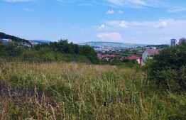 Teren intravian 8029 mp, Manastur, zona Campului