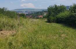 Teren intravian 8029 mp, Manastur, zona Campului