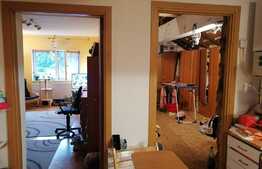 Garsonieră cu posibilitatea de extindere, 38 mp, zona Centrul Civic