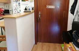 Garsonieră cu posibilitatea de extindere, 38 mp, zona Centrul Civic