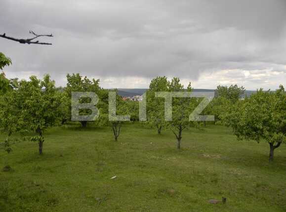 Teren de vânzare Făget - 90158TV | BLITZ Cluj-Napoca | Poza1