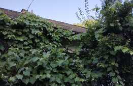 Casa centrala, 51 mp, zona Piata Mihai Viteazul