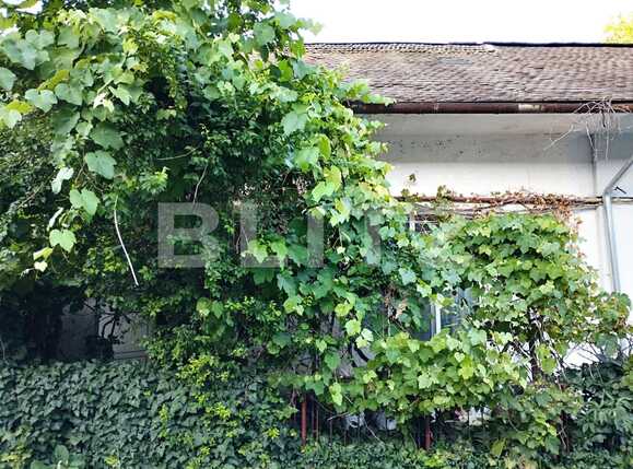 Casa de vânzare 1 camera Central - 90173CV | BLITZ Cluj-Napoca | Poza1