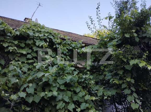 Casa de vânzare 1 camera Central - 90173CV | BLITZ Cluj-Napoca | Poza2