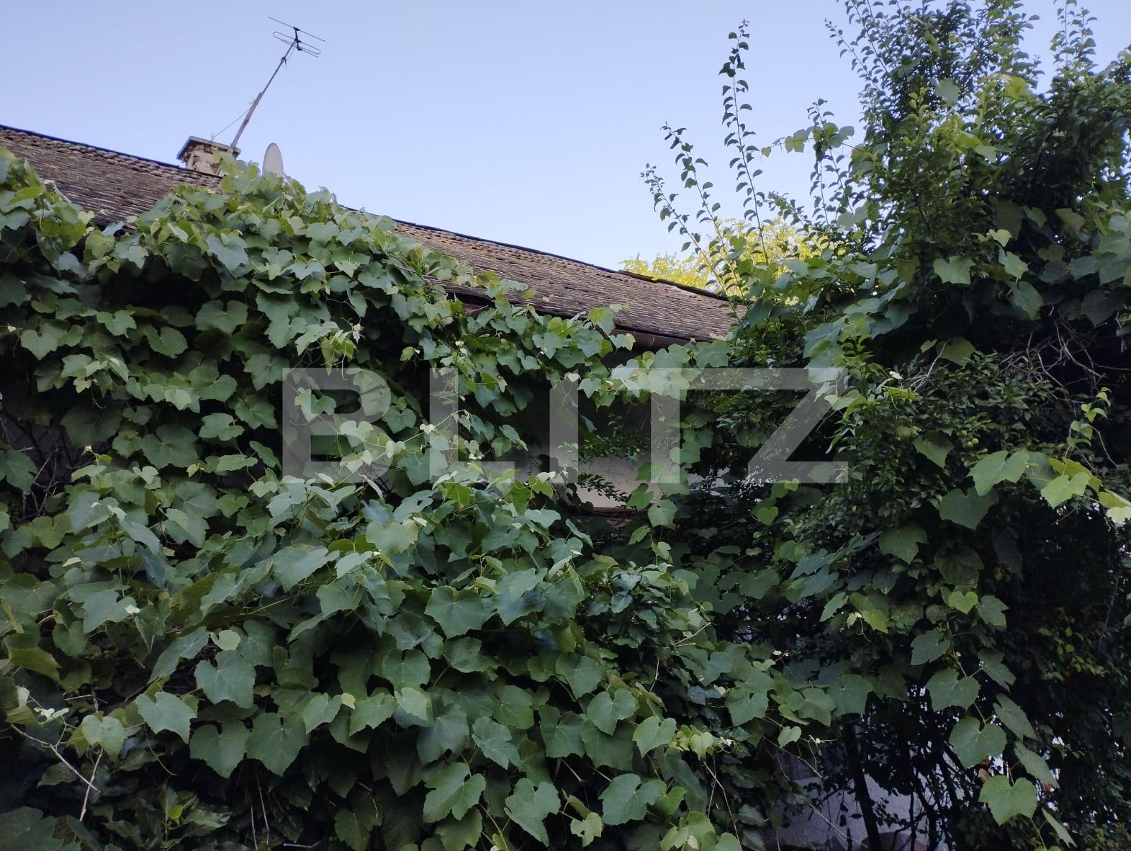 Casa de vânzare 1 camera Central - 90173CV | BLITZ Cluj-Napoca | Poza2