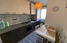 Apartament de 2 camere, 42 mp, etaj intermediar, Sacele 