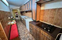 Casa individuala tip pensiune, 6 camere, in Vulcan