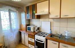 Apartament 2 camere, 51 mp, zona Muzeul Apei