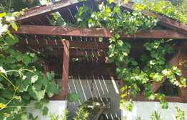 Casa cu 2 apartamente si teren in zona Brasov Vechi 