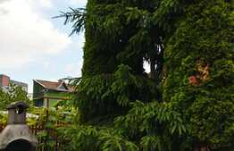 Oportunitate! Casa cu 6 camere, 230 mp, 389 mp teren, zona Farmec