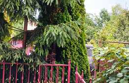 Oportunitate! Casa cu 6 camere, 230 mp, 389 mp teren, zona Farmec