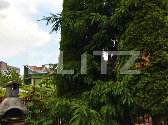 Casa de vânzare 6 camere Marasti - 90289CV | BLITZ Cluj-Napoca | Poza5