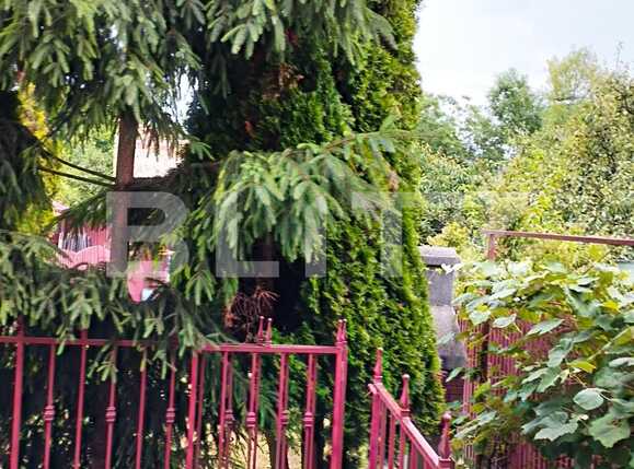 Casa de vânzare 6 camere Marasti - 90289CV | BLITZ Cluj-Napoca | Poza8