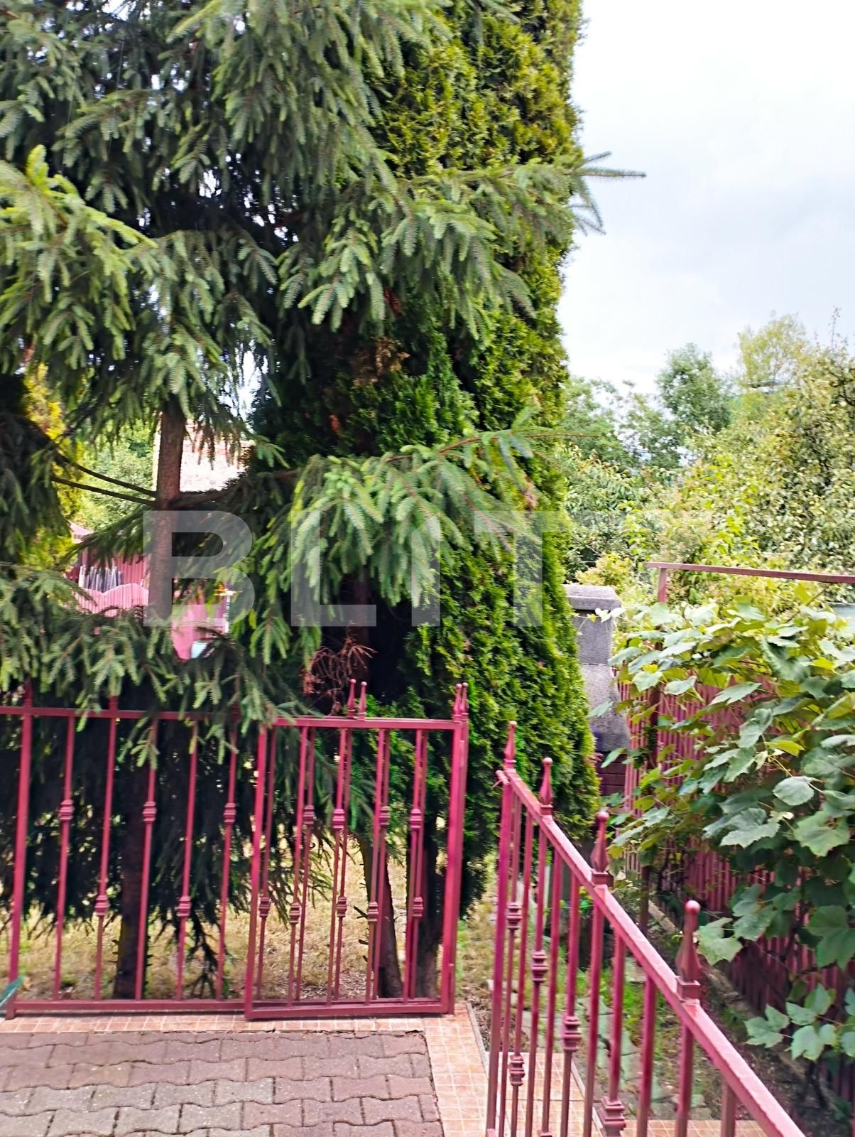 Casa de vânzare 6 camere Marasti - 90289CV | BLITZ Cluj-Napoca | Poza8