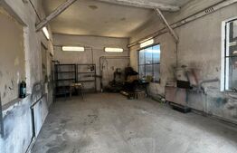 Hala pretabila pentru atelier mecanica/depozitare, 2 parcari, Luna de sus 