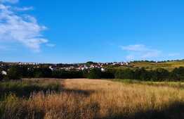 Oportunitate! Teren pentru duplex sau casa individuala, 725 mp, in Borhanci, cu PUZ finalizat!