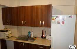 Inchiriere apartament 1 camera, 45 mp utili, zona T. Mihali, imobil nou