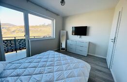 Apartament 2 camere mobilat lux, 47 mp, AC, zona Teilor