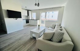 Apartament 2 camere mobilat lux, 47 mp, AC, zona Teilor