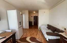 Apartament 2 camere, semidecomandat, 47mp, zona Petrom