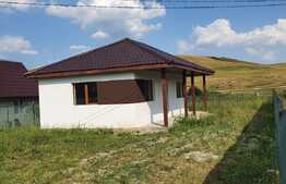 Casa individuala pe un nivel, 60 mp, 420 mp teren, Dezmir