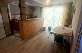 Apartament 2 camere, 48 mp, balcon inchis, zona strazii Porii