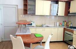 2 camere, 46 mp, mobilat modern, gradina, zona strazii Emil Isac