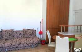 2 camere, 46 mp, mobilat modern, gradina, zona strazii Emil Isac