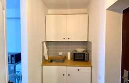 Garsoniera mobilata modern, 25 mp, pet friendly, Marasti