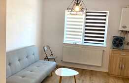 Garsoniera mobilata modern, 25 mp, pet friendly, Marasti