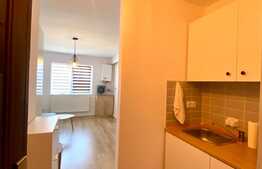 Garsoniera mobilata modern, 25 mp, pet friendly, Marasti