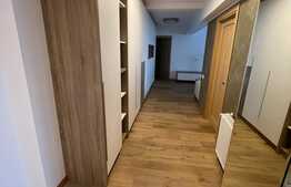 Penthouse exclusivist, totul nou, 4 camere, 140 mp, zona Aurel Vlaicu