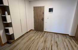 Penthouse exclusivist, totul nou, 4 camere, 140 mp, zona Aurel Vlaicu