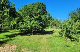  Casa individuala,120 mp utili, 1600 mp teren,zona linistita